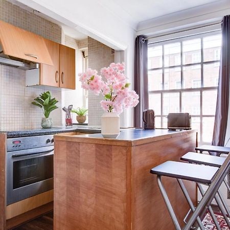 Cozy Studio In Central London Apartment Exterior photo